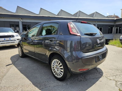 Fiat Punto Evo 1.4 5 porte S&S Active (3)