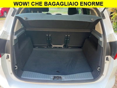 Ford C-Max 1.6 TDCi 115CV Titanium (13)