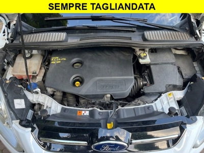 Ford C-Max 1.6 TDCi 115CV Titanium (15)