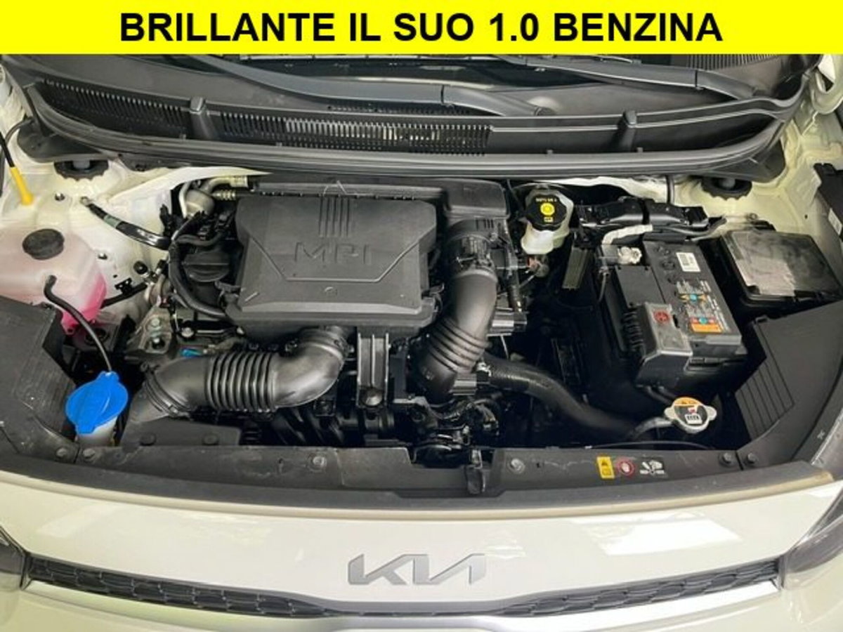 Kia Picanto 1.0 12V 5 porte AMT Style (15)