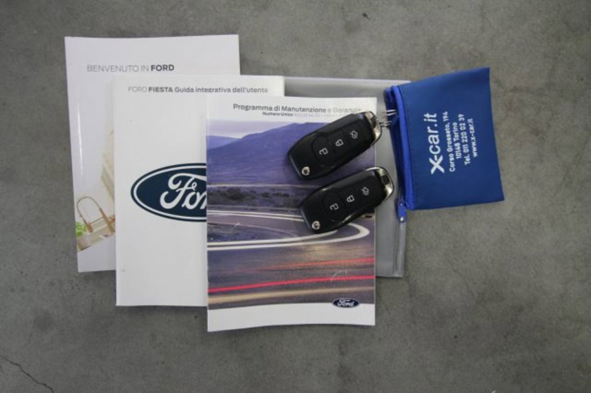 Ford Fiesta 1.0 Ecoboost Hybrid 125 CV DCT 5 porte Titanium (18)