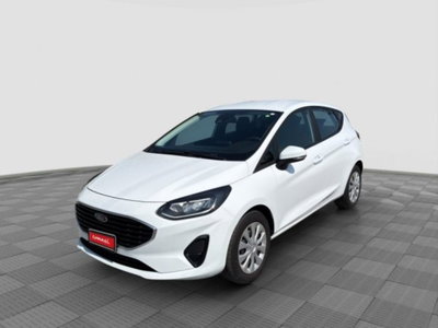 Ford Fiesta 1.1 75 CV GPL 5 porte Plus usata