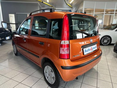 Fiat Panda 1.2 4x4 (4)