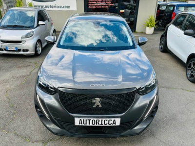 Peugeot 2008 BlueHDi 110 S&S Allure (14)