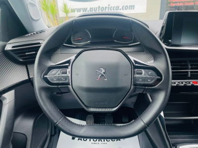 Peugeot 2008 BlueHDi 110 S&S Allure (5)