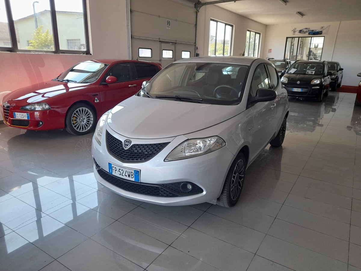 Lancia Ypsilon 1.2 69 CV 5 porte Platinum (3)