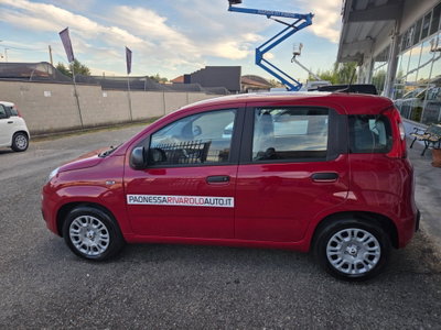 Fiat Panda 1.0 FireFly S&S Hybrid (3)