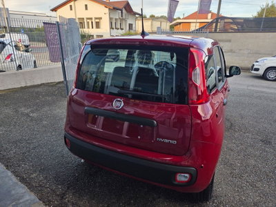 Fiat Panda 1.0 FireFly S&S Hybrid (4)