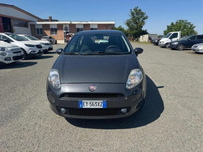 Fiat Punto 1.3 MJT II 75 CV 5 porte Street (2)