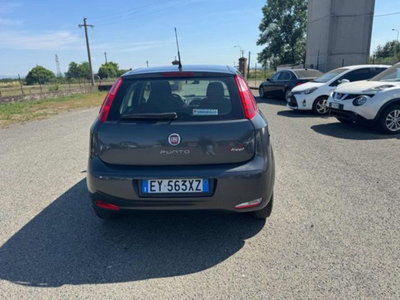 Fiat Punto 1.3 MJT II 75 CV 5 porte Street (5)