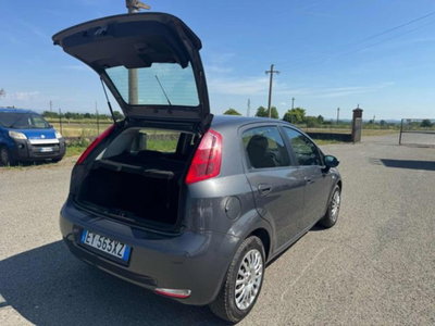 Fiat Punto 1.3 MJT II 75 CV 5 porte Street (7)