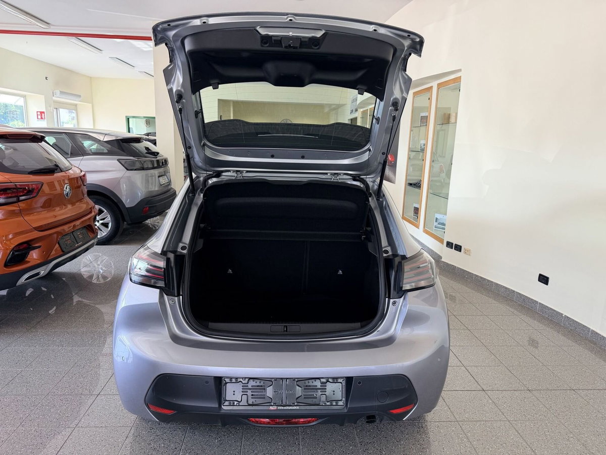 Peugeot 208 PureTech 100 Stop&Start EAT8 5 porte Active Pack (8)