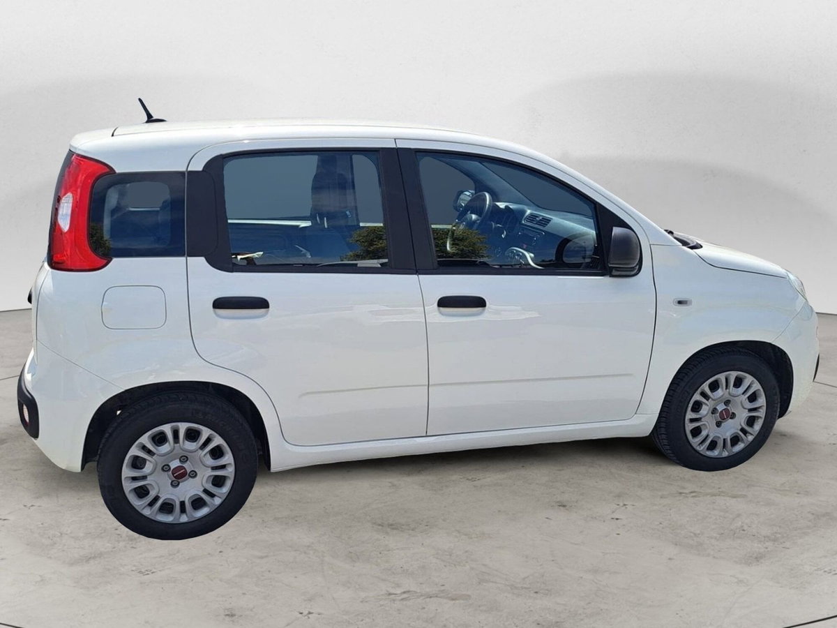 Fiat Panda Cross Cross 1.0 FireFly S&S Hybrid (6)