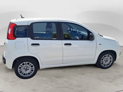 Fiat Panda Cross Cross 1.0 FireFly S&S Hybrid (6)