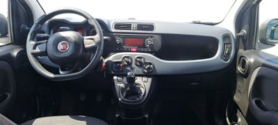 Fiat Panda Cross Cross 1.0 FireFly S&S Hybrid (9)