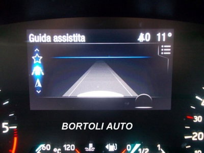 Ford Focus Station Wagon 1.5 EcoBlue 120 CV automatico SW Business (13)