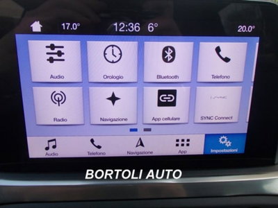 Ford Focus Station Wagon 1.5 EcoBlue 120 CV automatico SW Business (19)