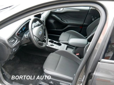 Ford Focus Station Wagon 1.5 EcoBlue 120 CV automatico SW Business (8)