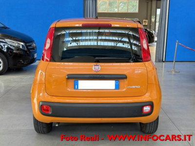 Fiat Panda 1.0 firefly hybrid s&s 70cv 5p.ti (16)