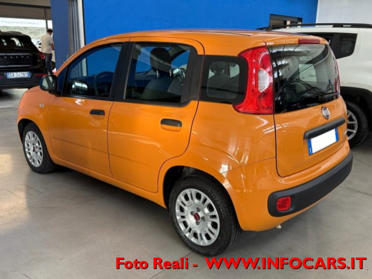 Fiat Panda 1.0 firefly hybrid s&s 70cv 5p.ti (2)