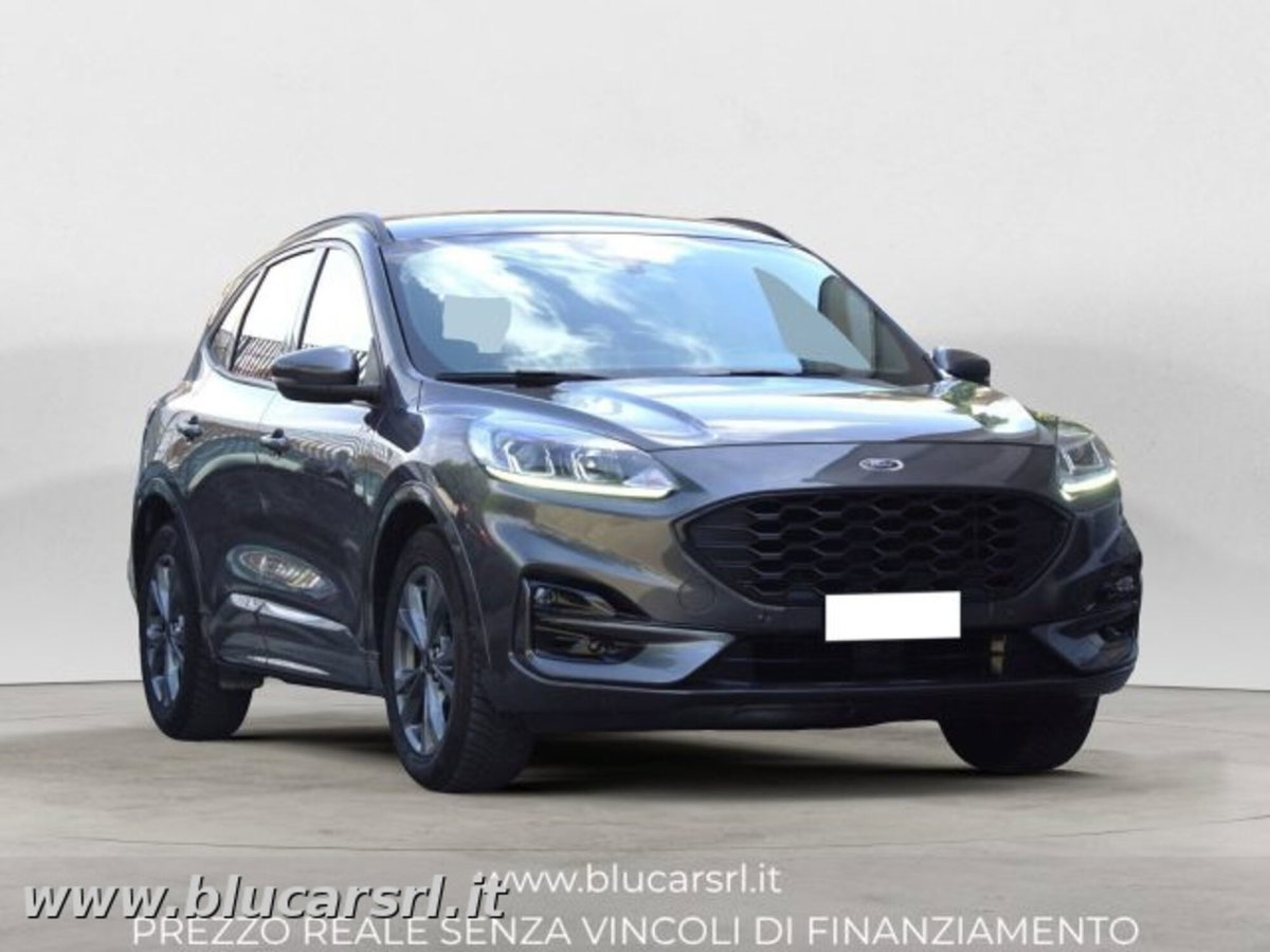 Ford Kuga 2.0 EcoBlue 120 CV aut. 2WD ST-Line X (2)