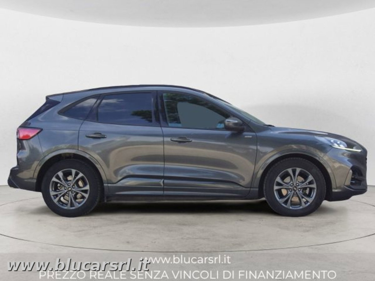 Ford Kuga 2.0 EcoBlue 120 CV aut. 2WD ST-Line X (3)