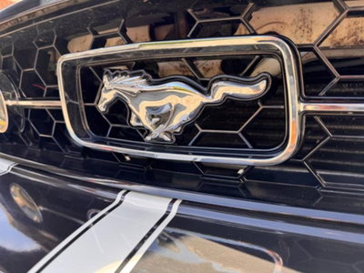 Ford Mustang Cabrio Convertible 2.3 EcoBoost (8)