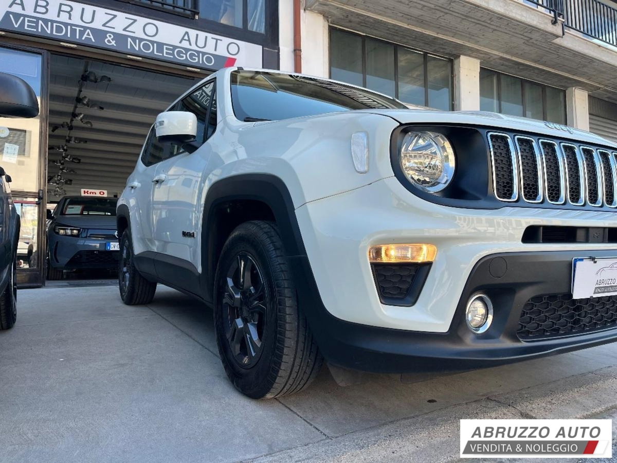 Jeep Renegade 1.6 Mjt 130 CV Business (3)