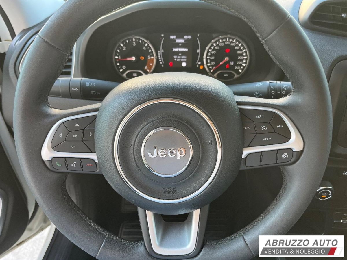 Jeep Renegade 1.6 Mjt 130 CV Business (9)