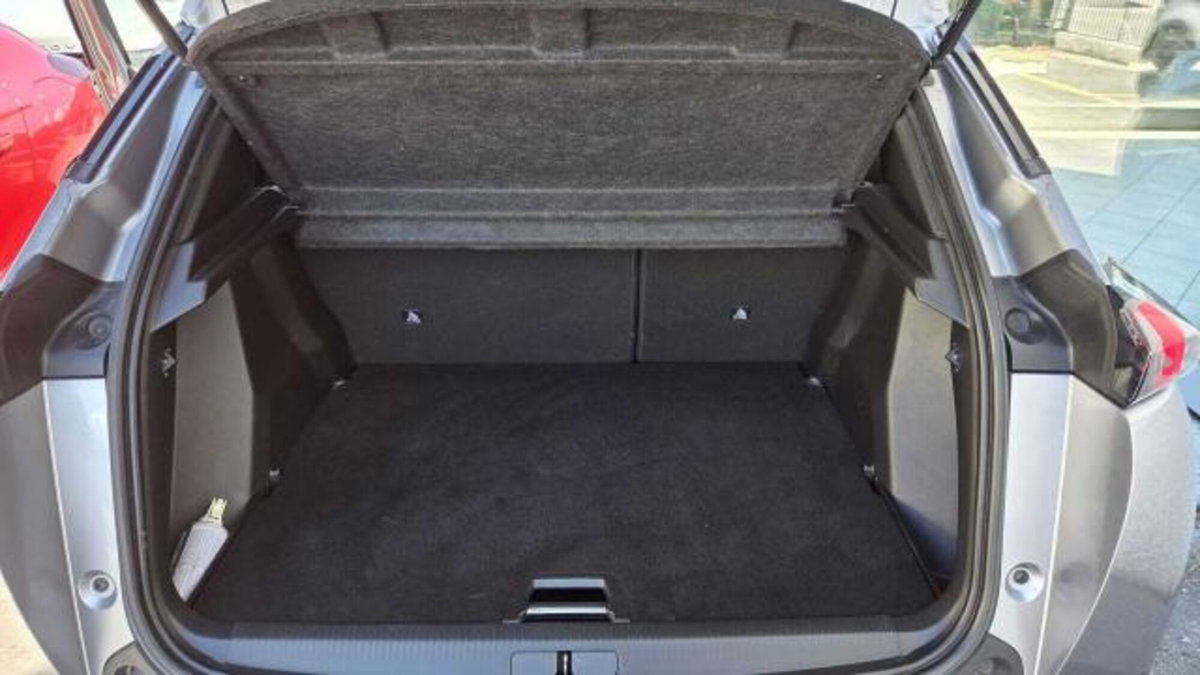 Peugeot 2008 PureTech 100 S&S Active (8)