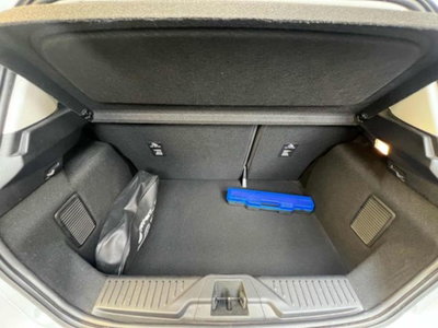 Ford Fiesta 1.1 75 CV 5 porte Titanium (14)