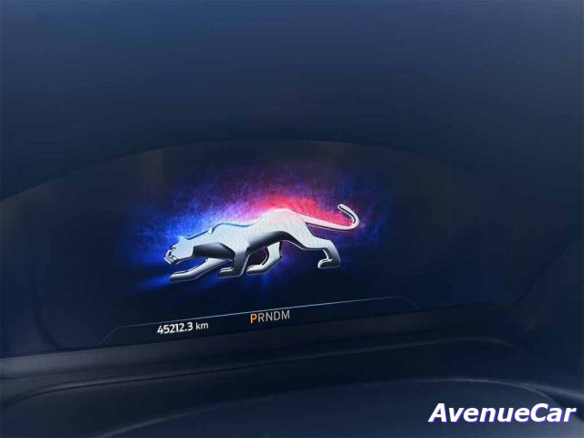 Ford Puma 1.0 ecoboost h ST-Line 155cv auto (14)