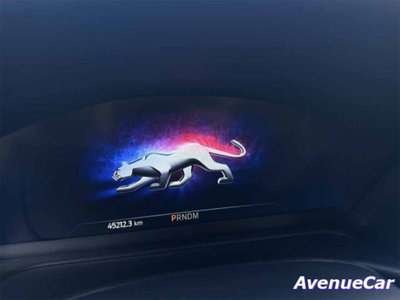 Ford Puma 1.0 ecoboost h ST-Line 155cv auto (14)