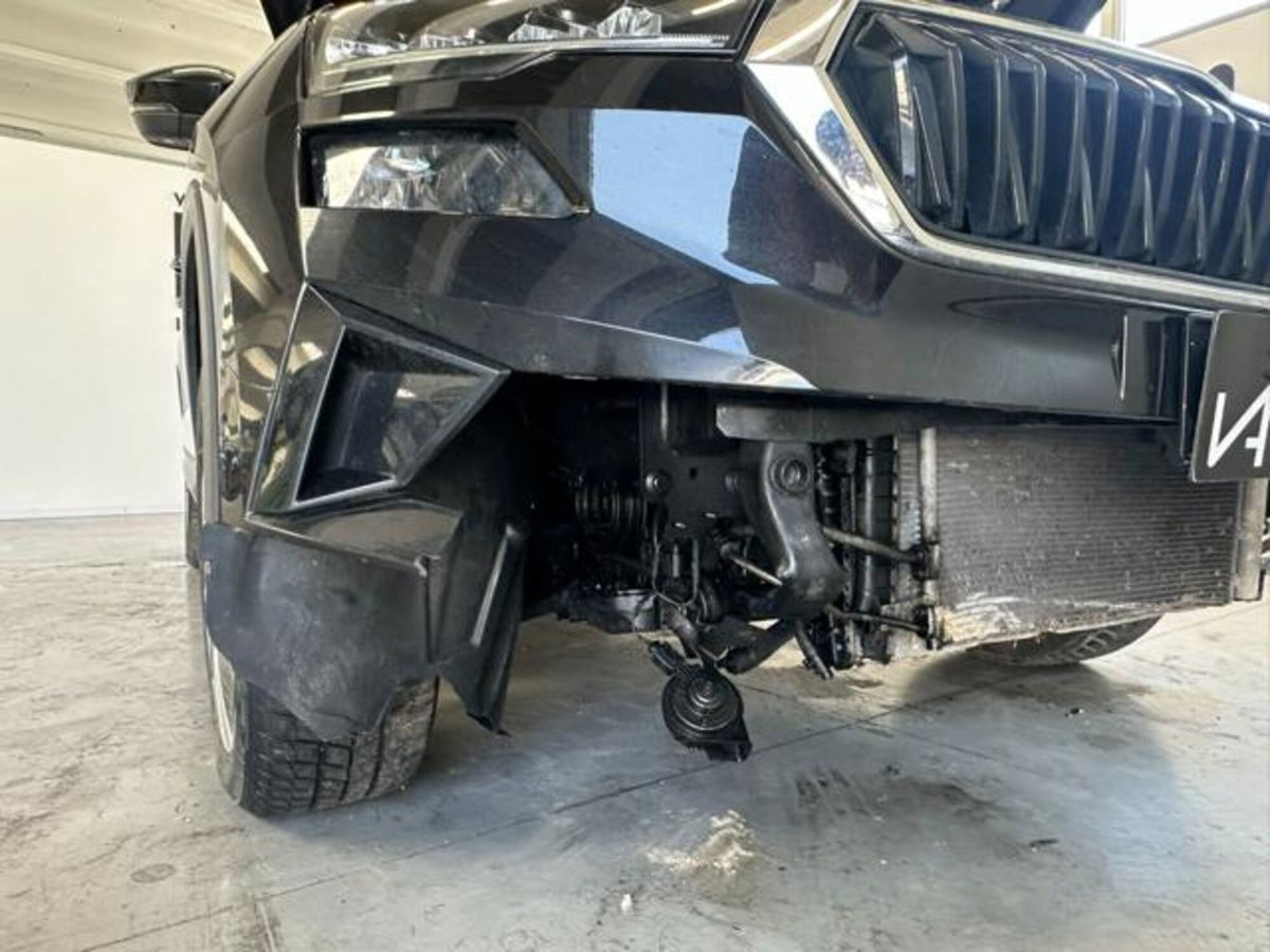 Skoda Karoq 2.0 TDI EVO SCR 115 CV DSG Executive (10)