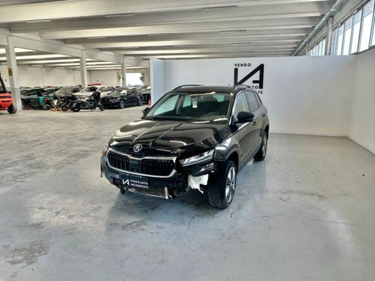 Skoda Karoq 2.0 TDI EVO SCR 115 CV DSG Executive (3)
