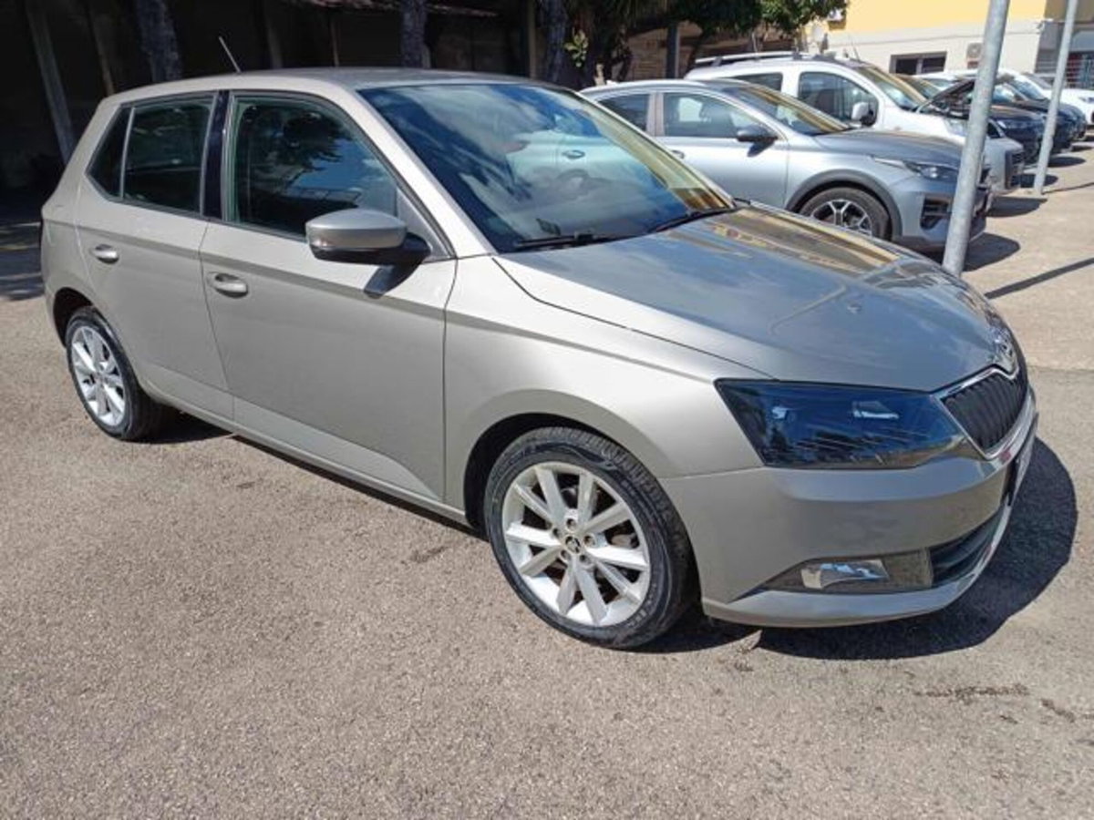 Skoda Fabia 1.4 TDI 90 CV DSG Ambition (12)