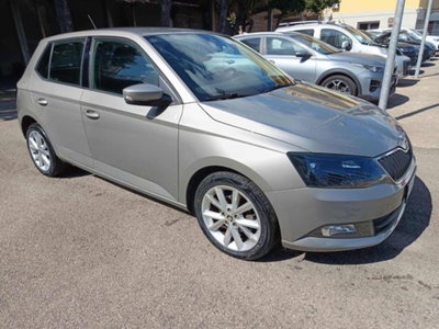 Skoda Fabia 1.4 TDI 90 CV DSG Ambition (12)