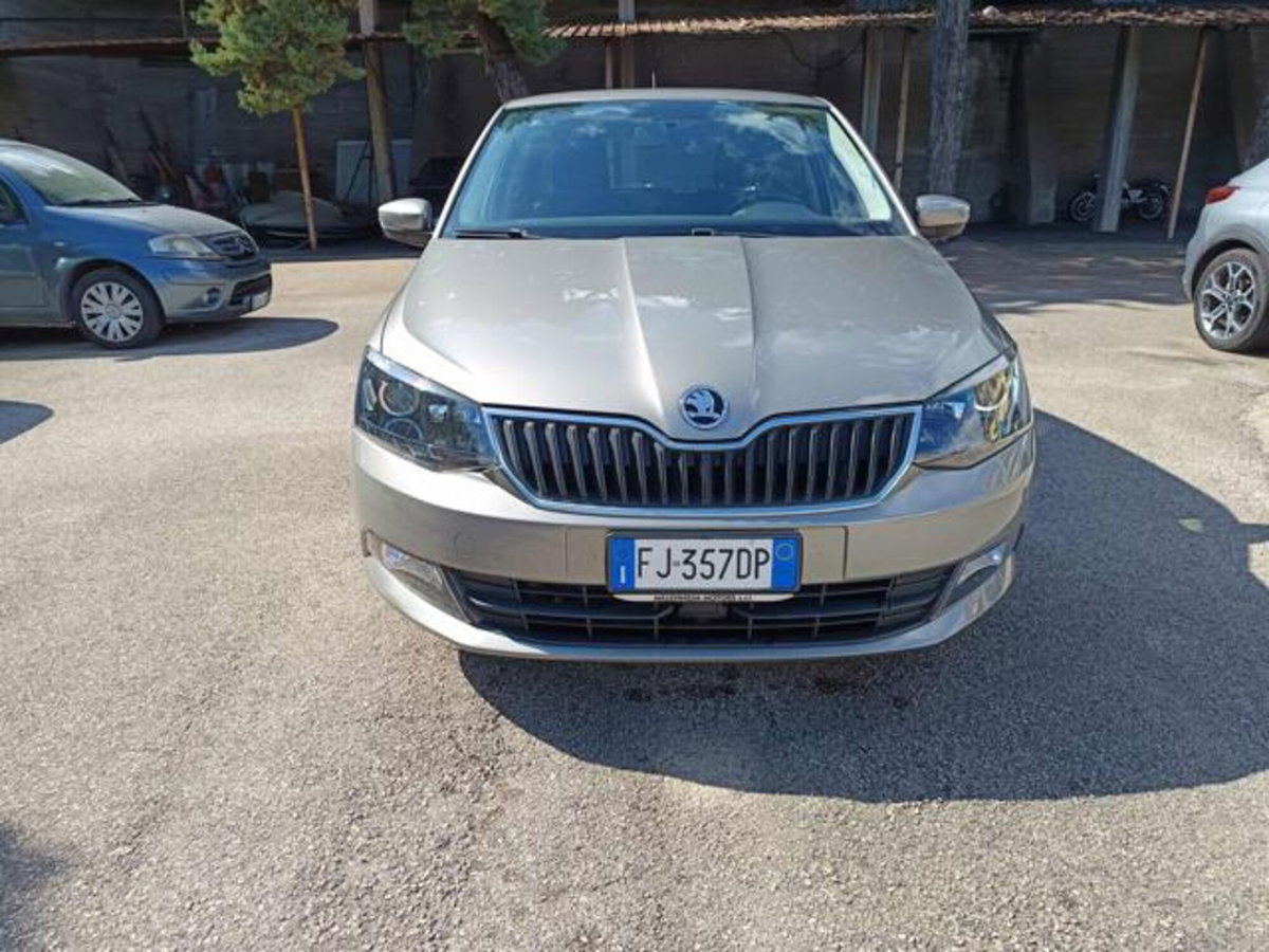 Skoda Fabia 1.4 TDI 90 CV DSG Ambition (2)