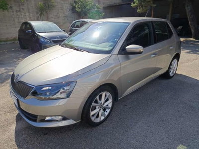Skoda Fabia 1.4 TDI 90 CV DSG Ambition (3)