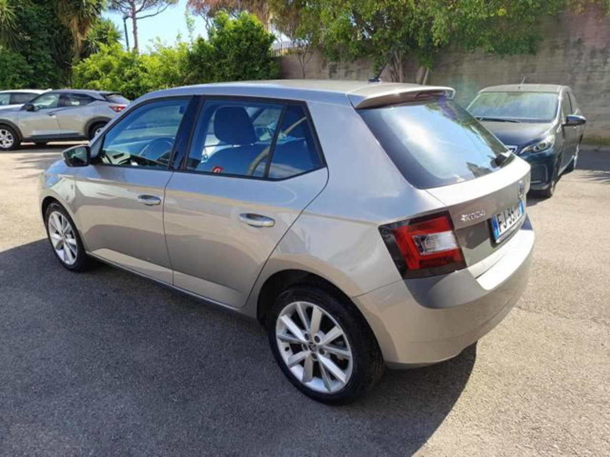 Skoda Fabia 1.4 TDI 90 CV DSG Ambition (4)
