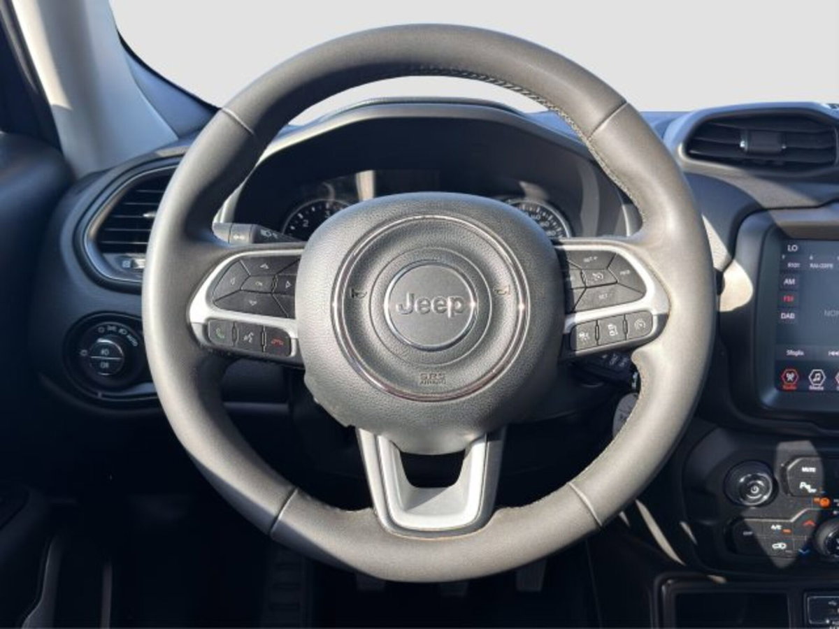 Jeep Renegade 1.6 Mjt 130 CV Limited (13)