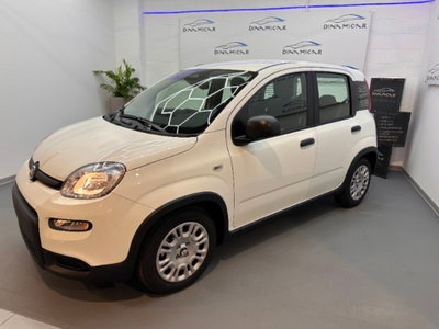 Fiat Panda 1.0 firefly hybrid Pop s&s 70cv (4)