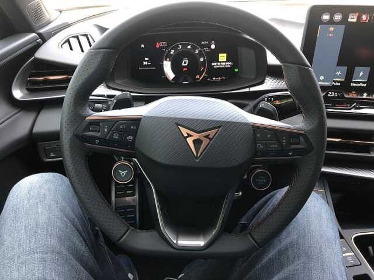 Cupra Terramar 1.5 hybrid Business 150cv dsg (12)