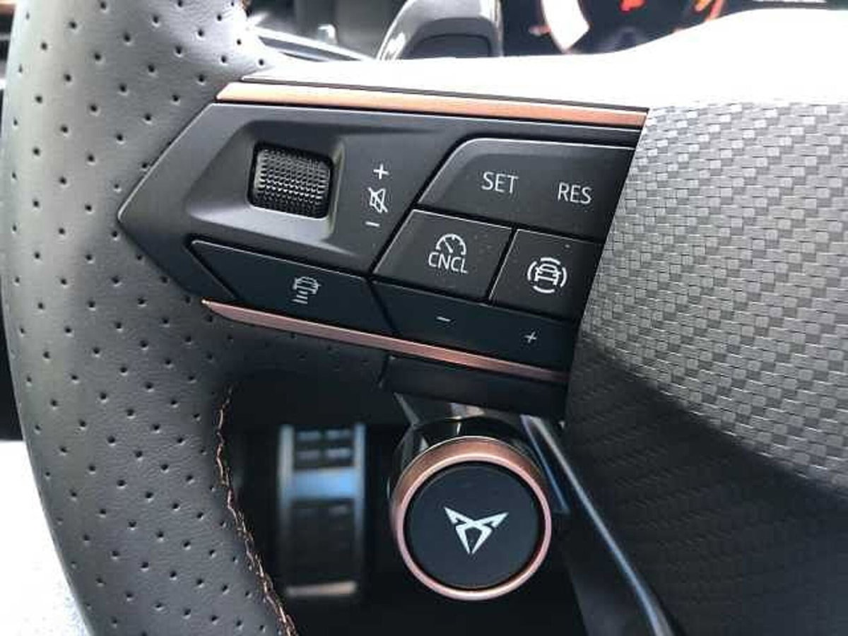 Cupra Terramar 1.5 hybrid Business 150cv dsg (13)