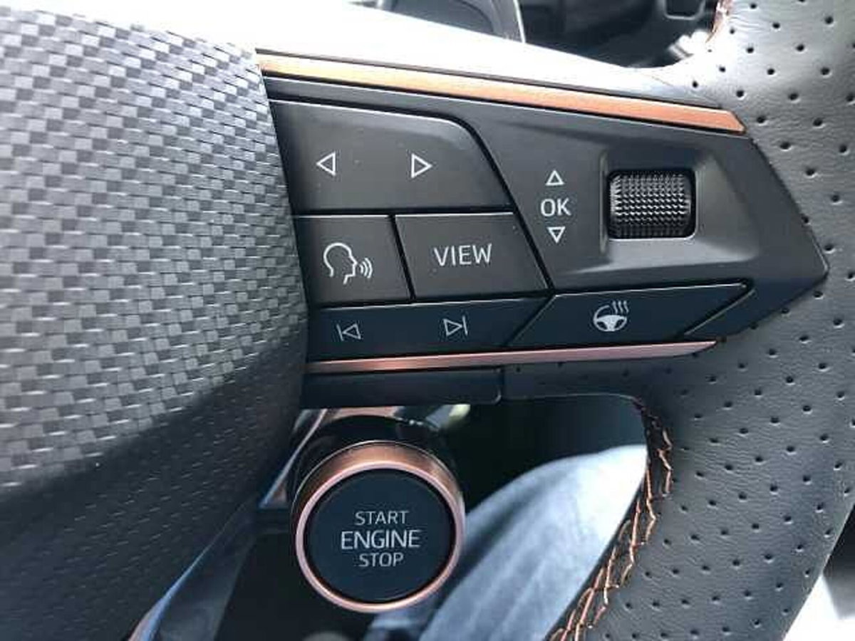 Cupra Terramar 1.5 hybrid Business 150cv dsg (14)
