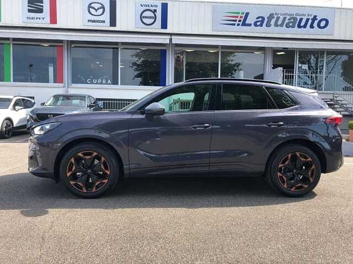 Cupra Terramar 1.5 hybrid Business 150cv dsg (3)