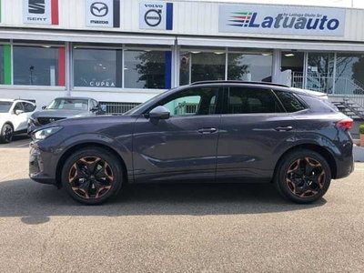 Cupra Terramar 1.5 hybrid Business 150cv dsg (3)