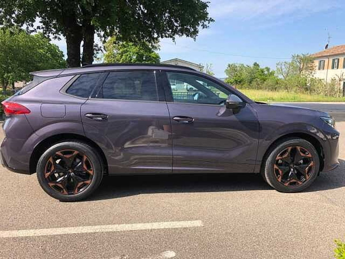Cupra Terramar 1.5 hybrid Business 150cv dsg (5)