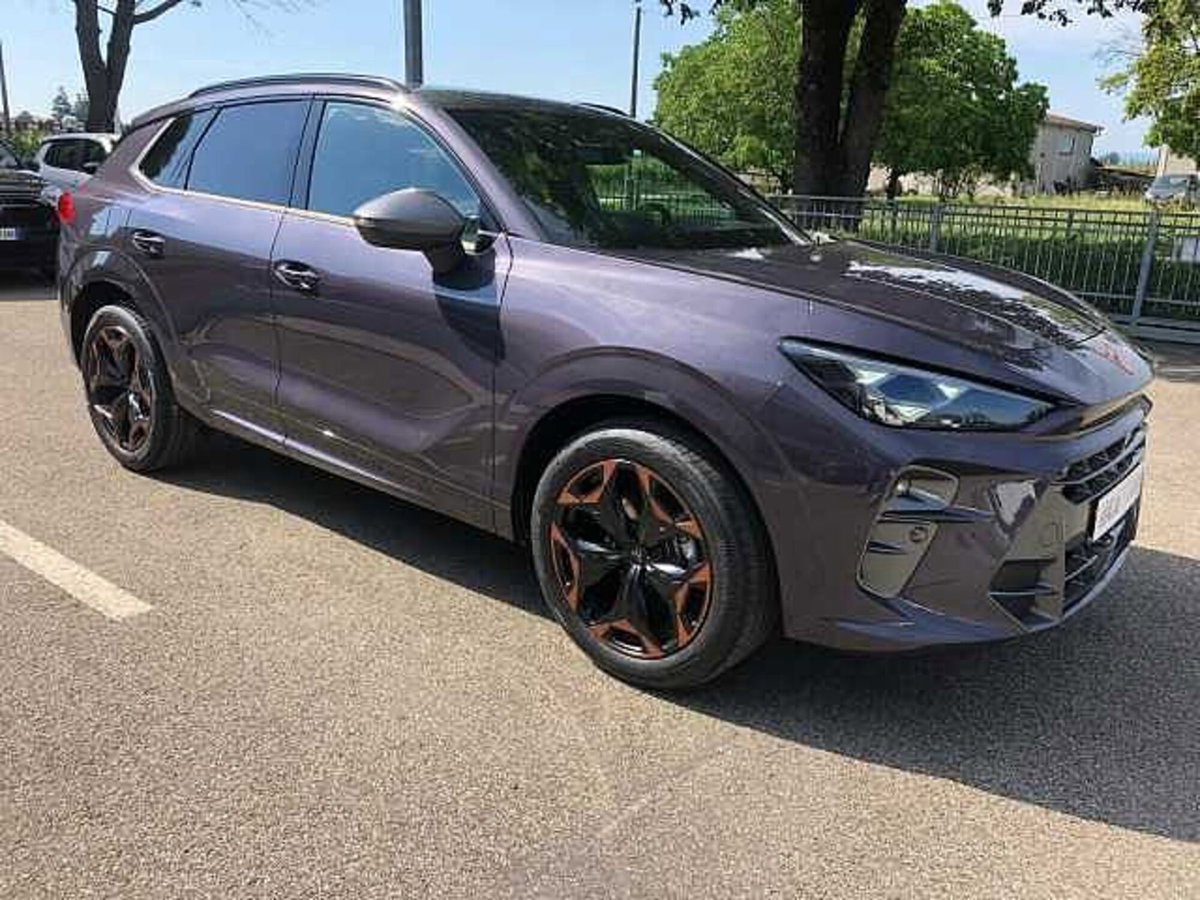 Cupra Terramar 1.5 hybrid Business 150cv dsg (6)