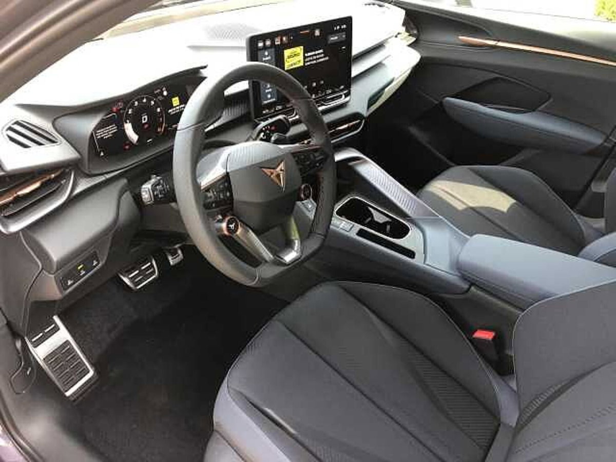 Cupra Terramar 1.5 hybrid Business 150cv dsg (9)